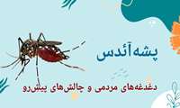 فیلم/ آئدس؛ دغدغه مردمی، چالش‌های پیش رو