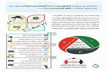 رفتار 