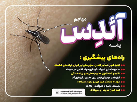 پشه آئدس  
